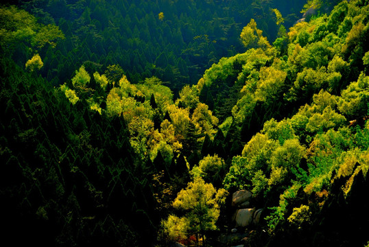 大山春色