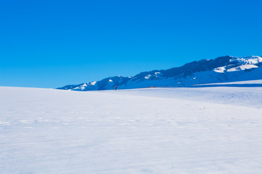 雪景  冬季