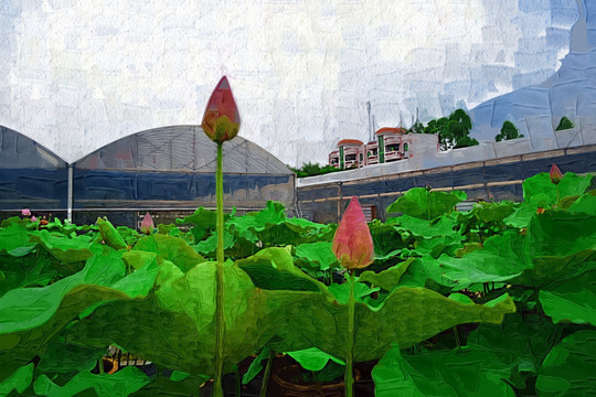 抽象画 油画 装饰画