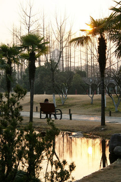 夕阳