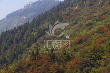 南岳衡山旅游风景区 森林 植被