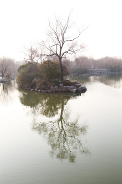 冬天的大明湖