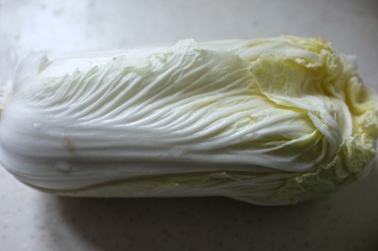 大白菜 特写