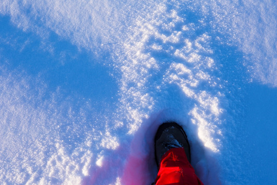 踏雪