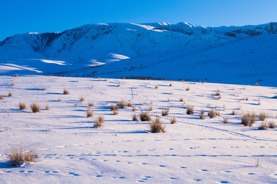 雪景  冬季