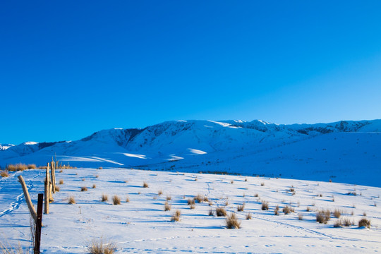 雪山   高原