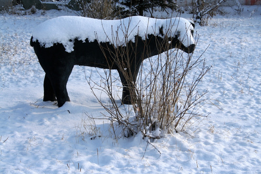 森林 雕塑 黑熊