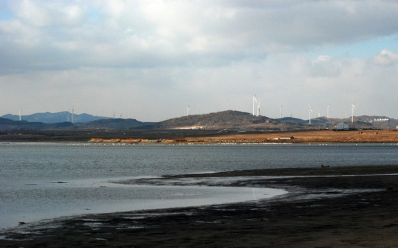 天鹅湖  湖水 远山 岸边