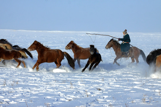 冬季雪原套马