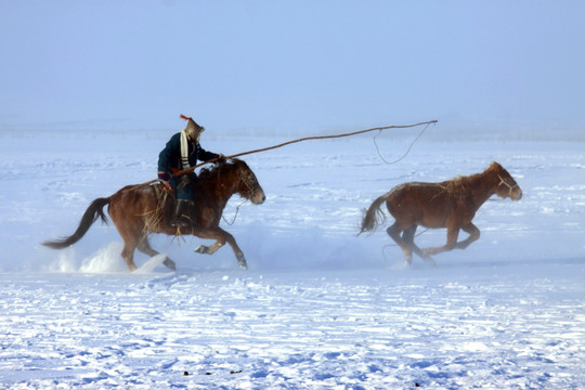 冬季雪地套马