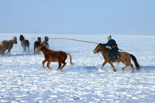 冬季雪地套马