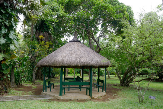 毛里求斯植物园茅草亭