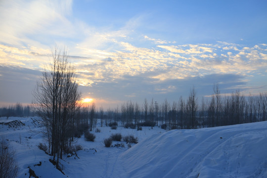 雪野朝阳