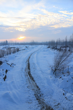 雪野小路