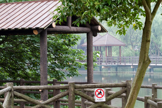 上海野生动物园 户外 旅游景点