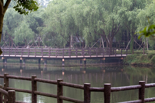上海野生动物园 户外 旅游景点