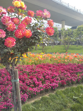 城市风光