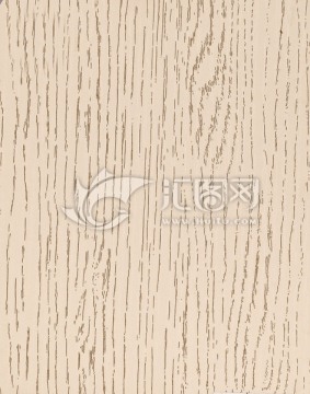 浮新橡木 木纹 地板 纹理