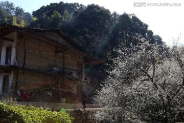 农家土坯房