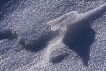 雪地