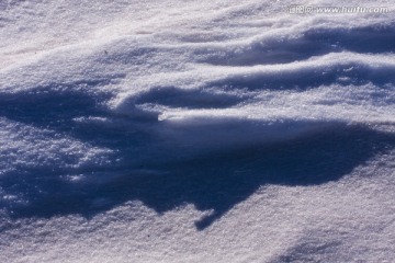 雪地