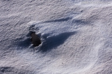 雪地