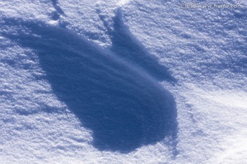 雪地