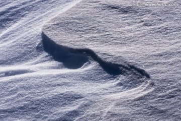 雪地