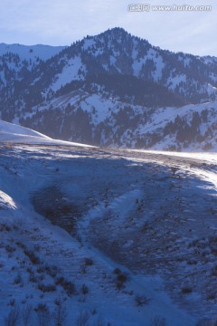 雪山 高原