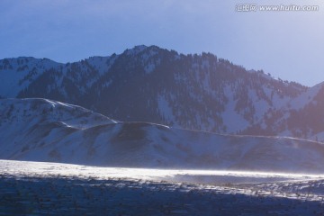 雪山 森林