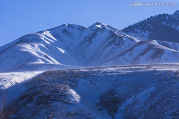 雪山 高原