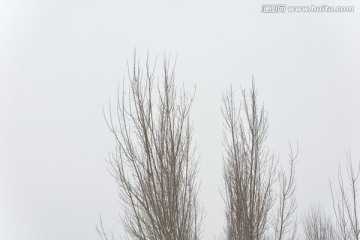 雪景 冬景