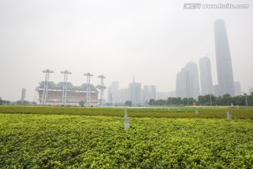 广州城市绿化