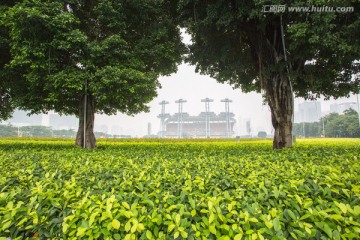 广州城市绿化