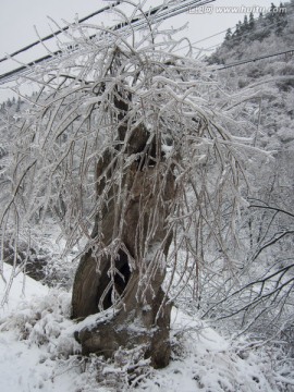 山上的雪