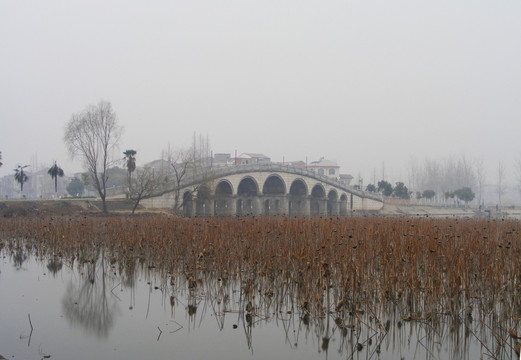 仙桃莲花池