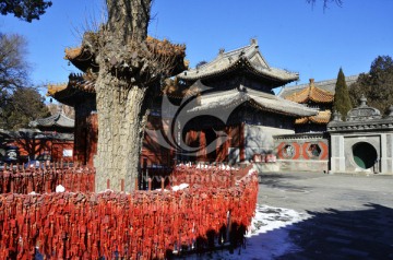 北京万寿寺 万寿禅寺