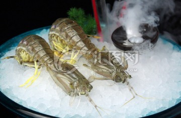 泰国虾蛄
