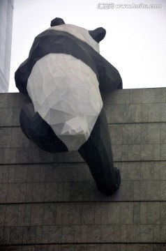 翻墙的熊猫