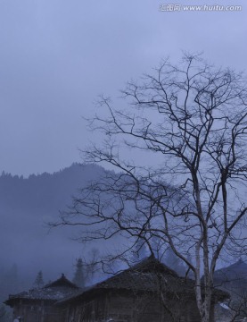 乡村早晨