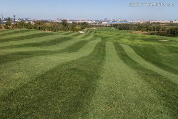 高尔夫球场 线条 透视