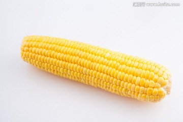 玉米