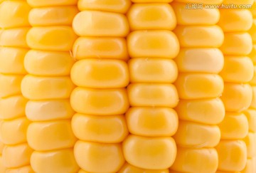 玉米