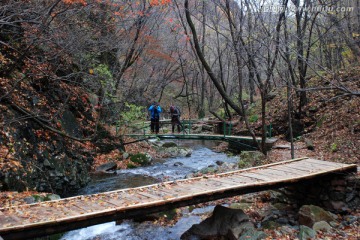 红叶 秋景 木桥 山脉 溪水