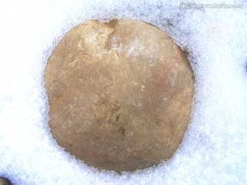 雪地里的石头
