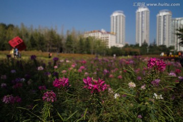 烟台海滨公园