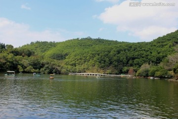 深圳仙湖植物园风景