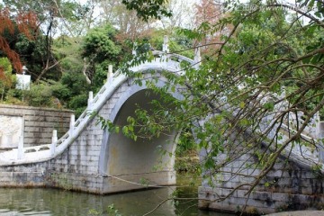 深圳仙湖植物园风景