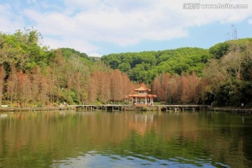 深圳仙湖植物园风景
