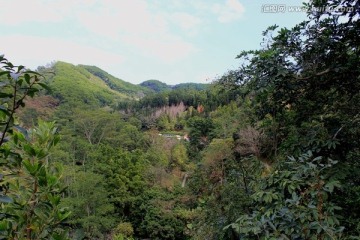 深圳仙湖植物园风景区